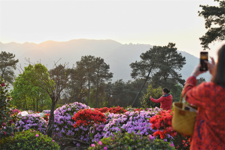 �ο��ڷ�ţ�����p���N��������z