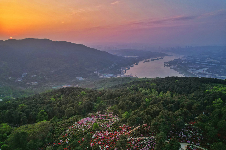 ÿ��3��4�������ؑc���ϰ��^(q��)��ţ�������д�Ƭ�Ķ��N�������a��ʢ�_������z