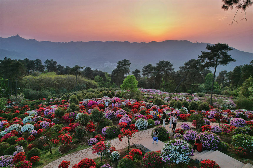 �ο������ֺͻ����g���B�������M����������������z