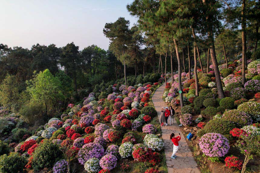 �ο������ֺͻ����g���B�������M����������������z