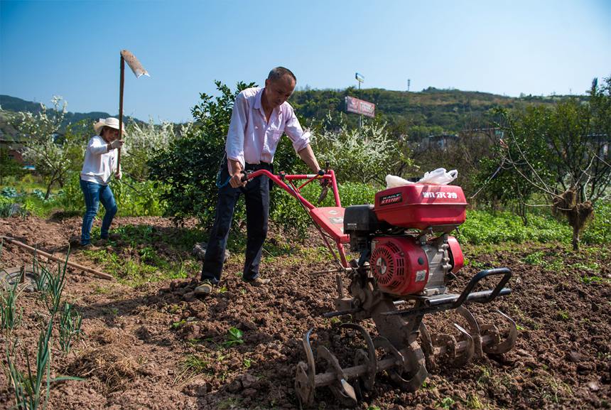 �L(zh��ng)���(zh��n)��ˮ����һ�ɷ�æ��������G�z