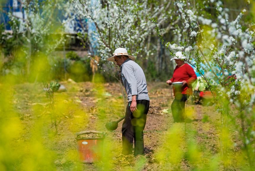 �r(n��ng)��ץ�r(n��ng)�r(sh��)���Ӿo���N���硣��G�z