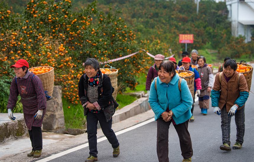 С���(zh��n)�������\(y��n)�����¼t����������G�z