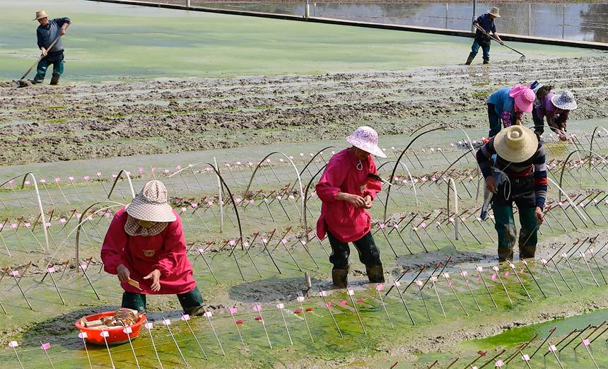 �ʌ��(zh��n)��������ˮ�������������Ҕz