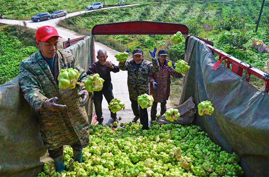 ��ɳ�(zh��n)�������D(zhu��n)�\(y��n)���r������^�������S�z