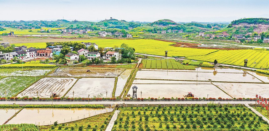 �������� ��@����