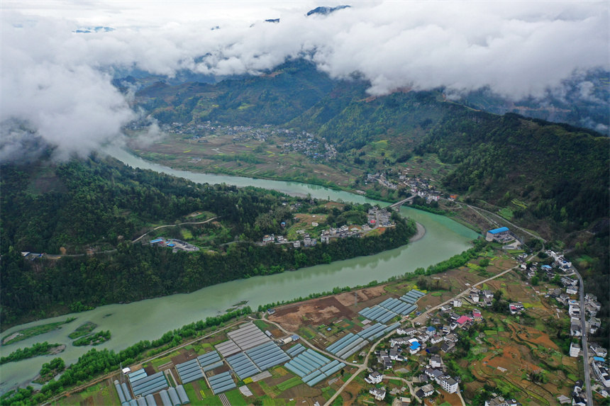 �����(zh��n)�������L(f��ng)���箋���w�z