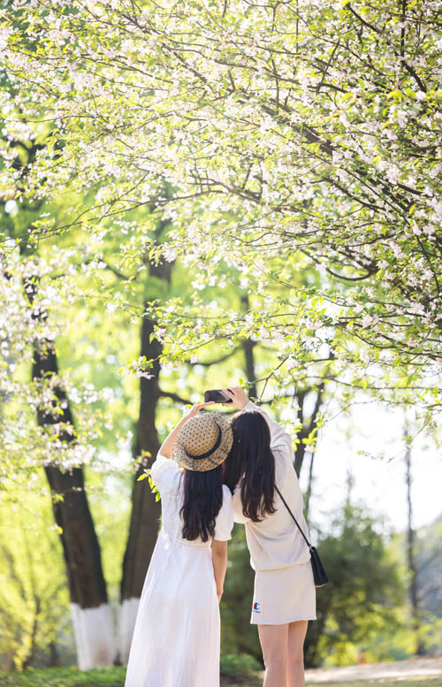 �ο����ؑc�Fɽƺɭ�ֹ��@�p���������������z