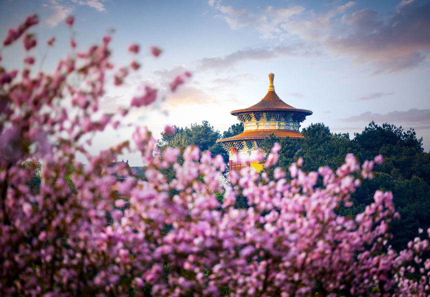 �Fɽƺɭ�ֹ��@�ęѻ������`�����������z