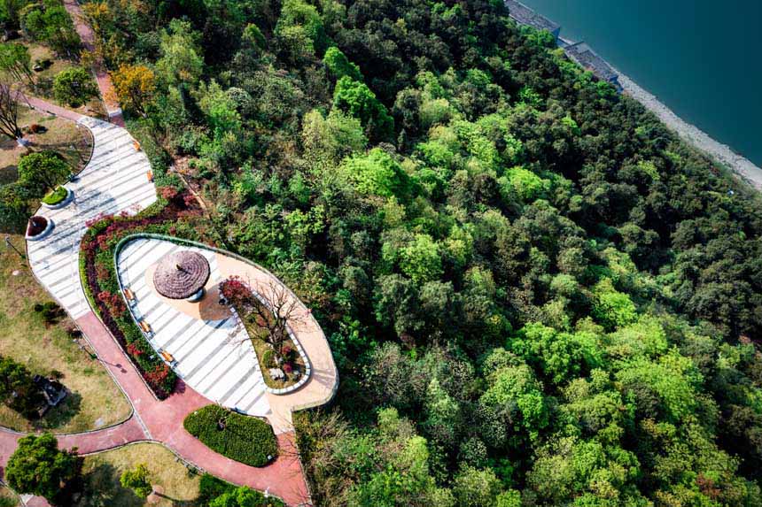 ����Fɽƺɭ�ֹ��@�����箋���������z