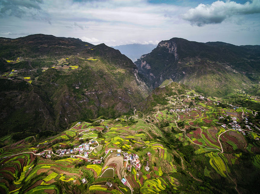 �e(cu��)�_�{��ɫ���������z