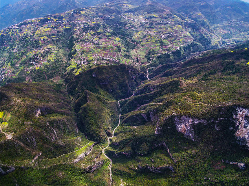 �e�_�{��ɫ���������z