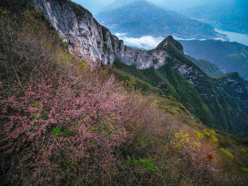 �����{��ɫ���������z