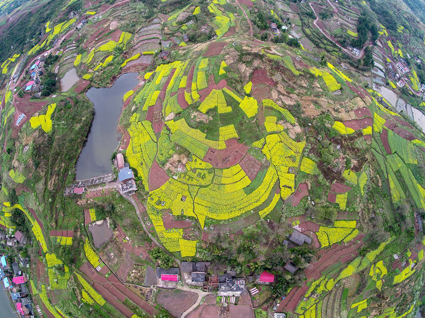 ��ɽ�h�R���(zh��n)�������������z