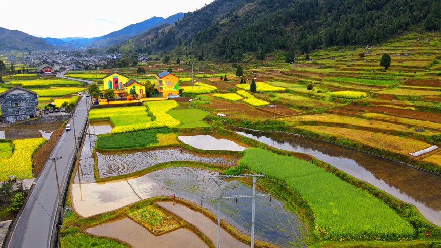 �ؑc��ɽ�h��Ϫ�(zh��n)���l(xi��ng)���L(f��ng)�⡣���̔z