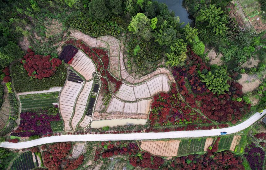 ���������(zh��n)�d�������������箋���S�Ӕz 