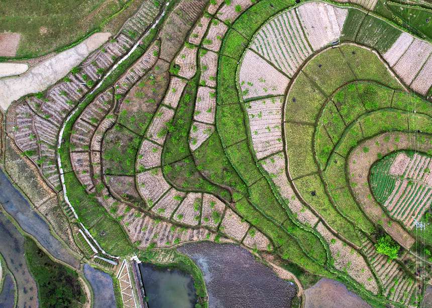 ���������(zh��n)�d�������������箋���S�Ӕz 