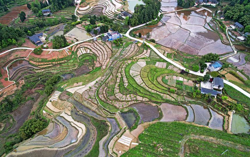 ���������(zh��n)�d�������������箋���S�Ӕz 