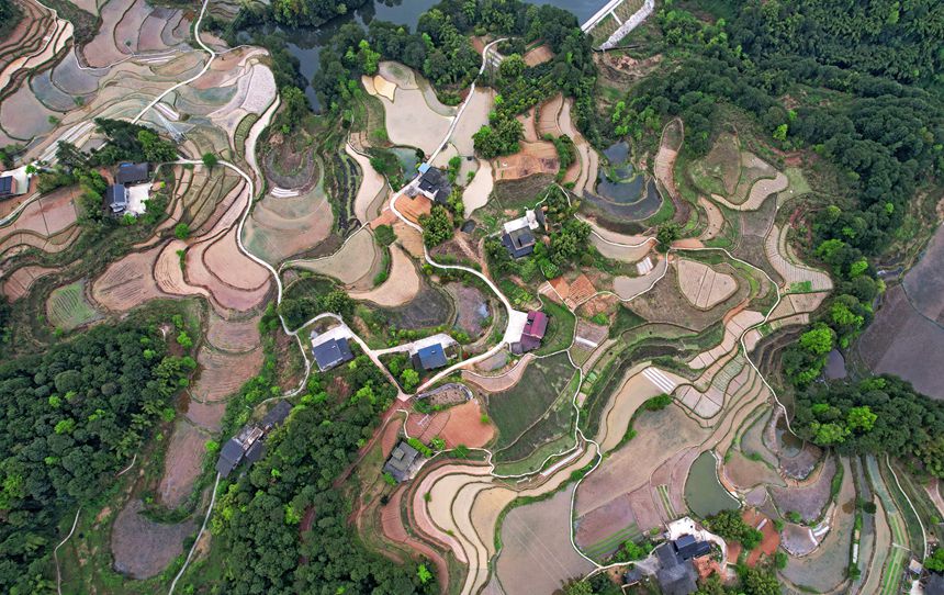 ���������(zh��n)�d�������������箋���S�Ӕz 