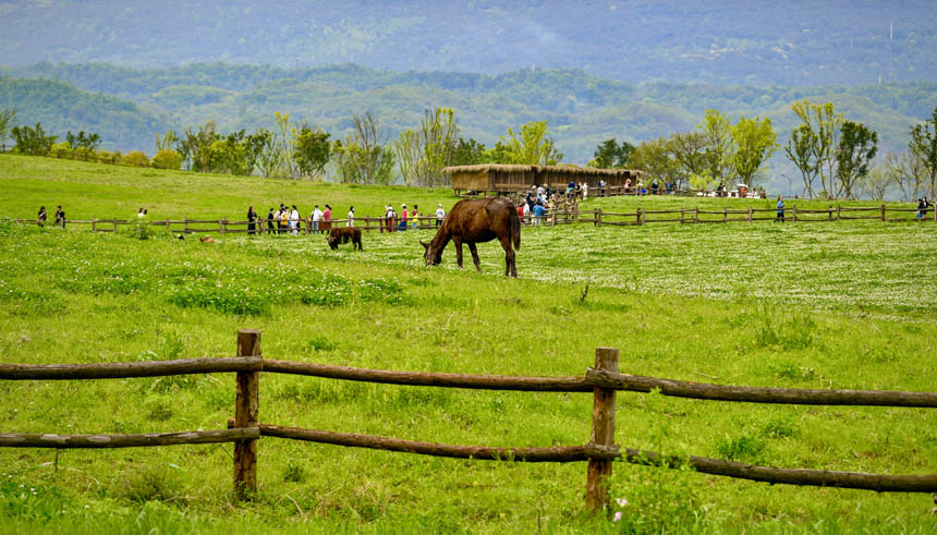 ����С�L���������ڏVꖍu�����������޾�ӡ�z