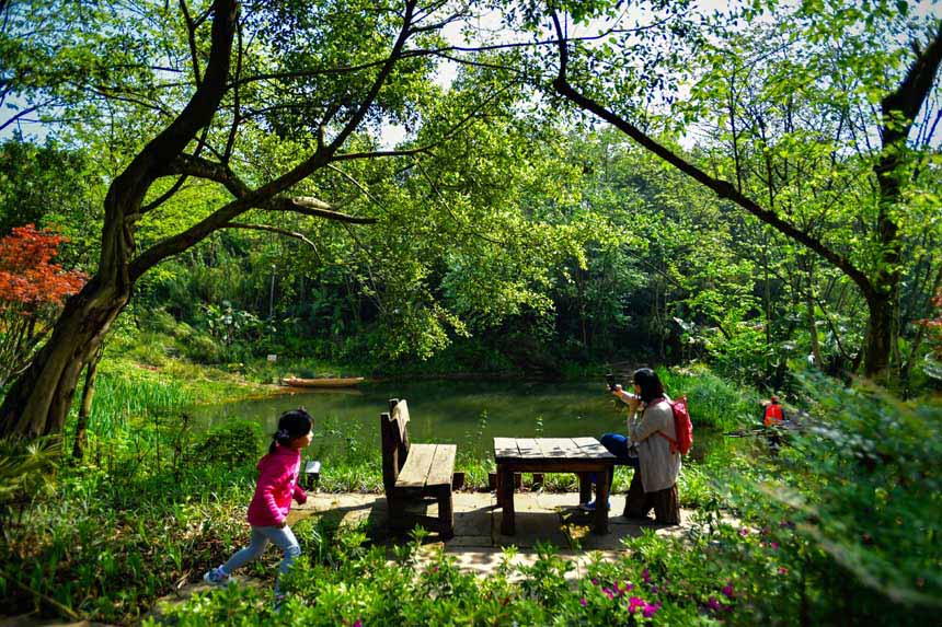 ���ՏV�(y��ng)�uӳ�r������̼t�ľGɫ֮�У�����(l��)���Õr(sh��)��(ji��)���޾�ӡ�z