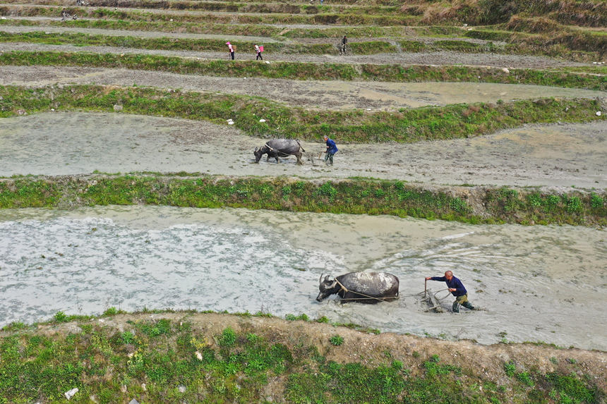 4��6�գ��ؑc��ˮͩ���l(xi��ng)��(x��)ɳ��������ڸ������w�z