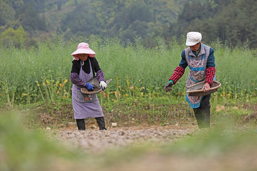 4��6�����ؑc��ˮͩ���l(xi��ng)��(x��)ɳ������������g���������w�z