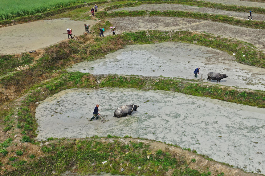 4��6�����ؑc��ˮͩ���l(xi��ng)��(x��)ɳ��������ڸ������w�z