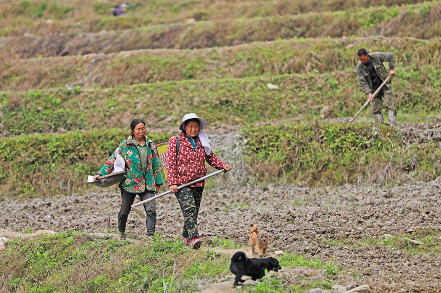 4��6�����ؑc��ˮͩ���l(xi��ng)��(x��)ɳ�������κ���r(n��ng)����������g��������O�󷽱㡣�w�z