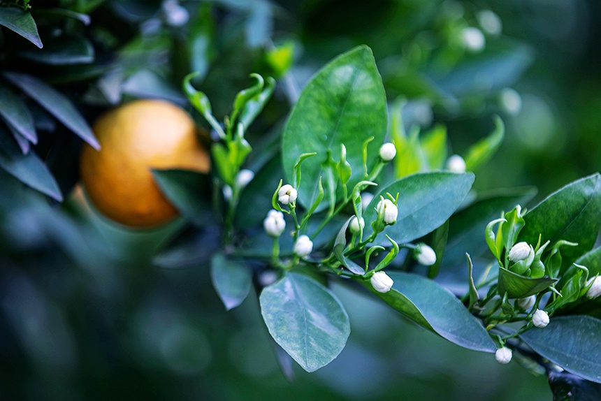 �ٻ����������������z