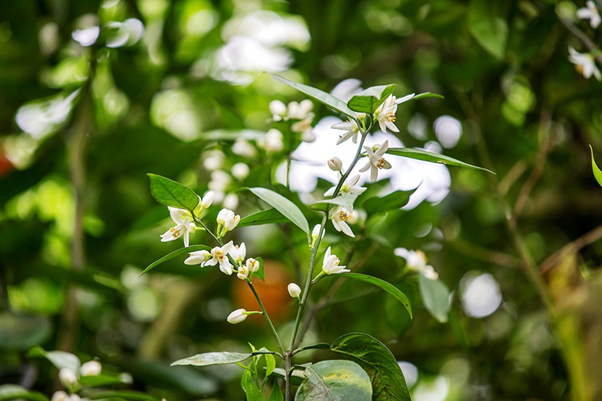 �ٻ��M��`���������z