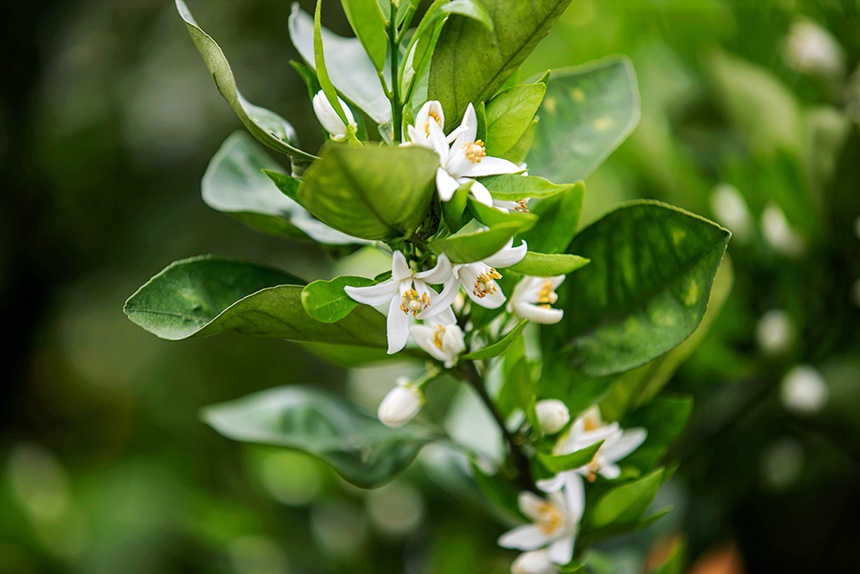 �ٻ��M��`�š������z