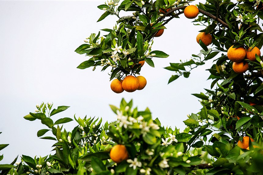 ����ͬ���������z