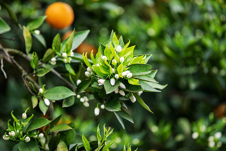 �ٻ����������������z