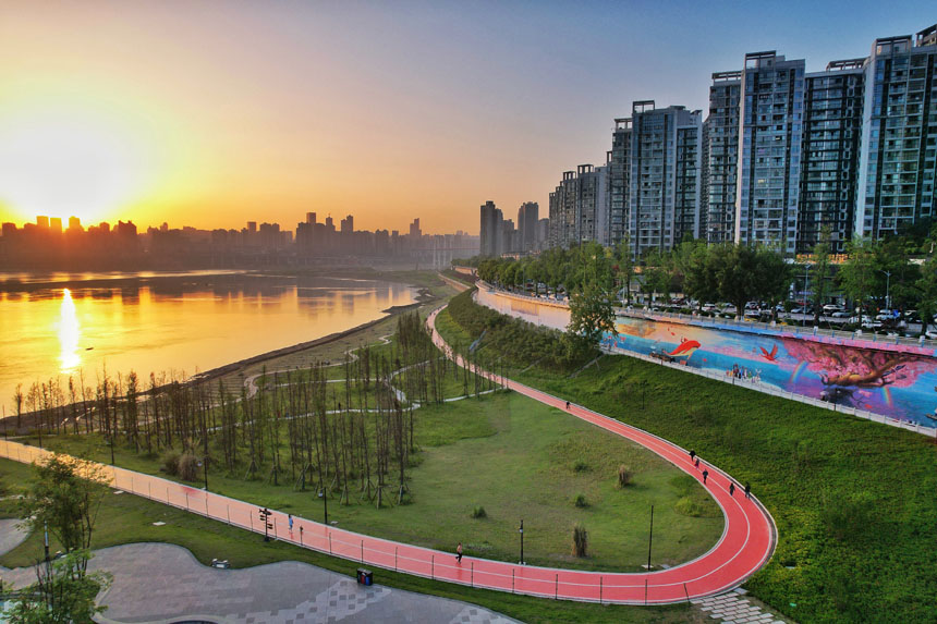 �����~���ġ����ͱڮ������ؑc�ϞI·�ŰͶ��������@������z��