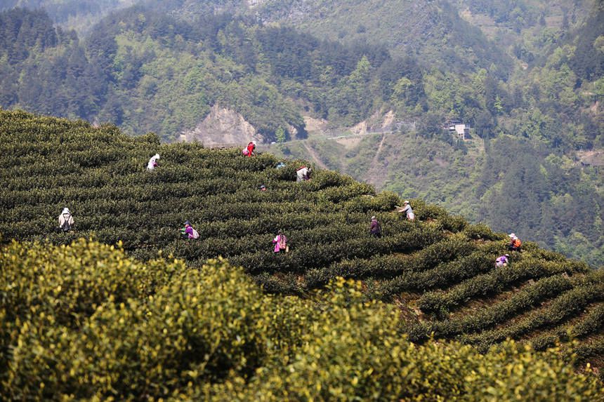 �����(zh��n)��ƽ��^(q��)�ײ�����������z