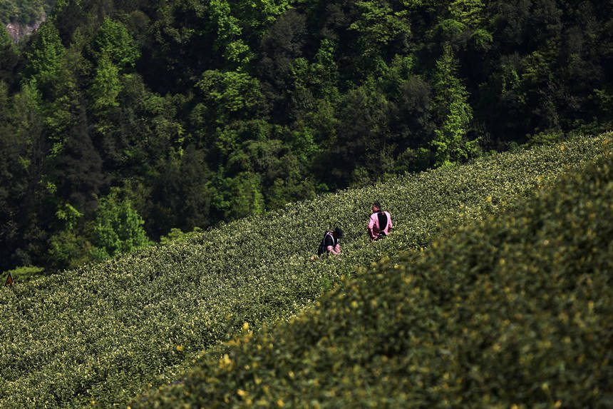 ����ץ�r(n��ng)�r(sh��)��(sh��)�F(xi��n)�¸������������z