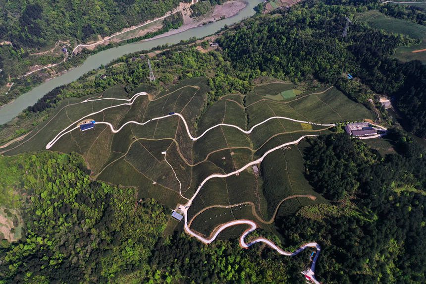 ��ײ�����������z