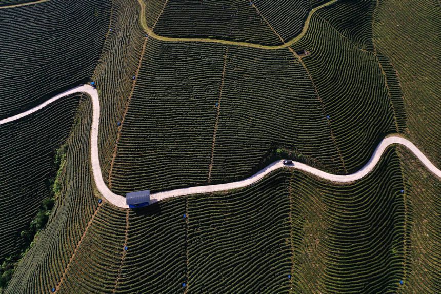 ��܇����ڰײ���صĮa(ch��n)�I(y��)·���������z