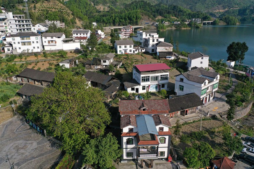 �ܼ�կ����ӡ������z