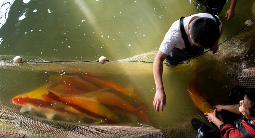 �������ѵ���֬�~��Ƚ��܊�z