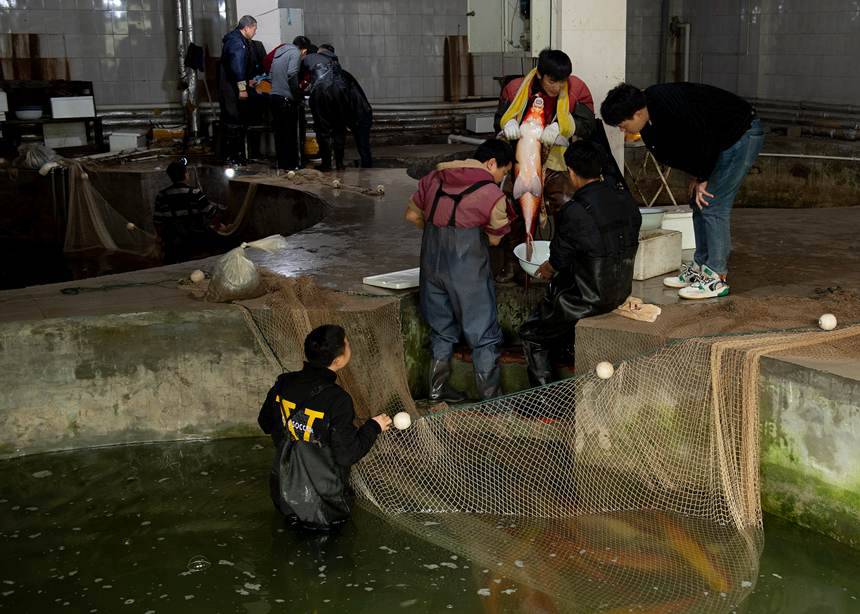 �o����֬�~������Ƚ��܊�z