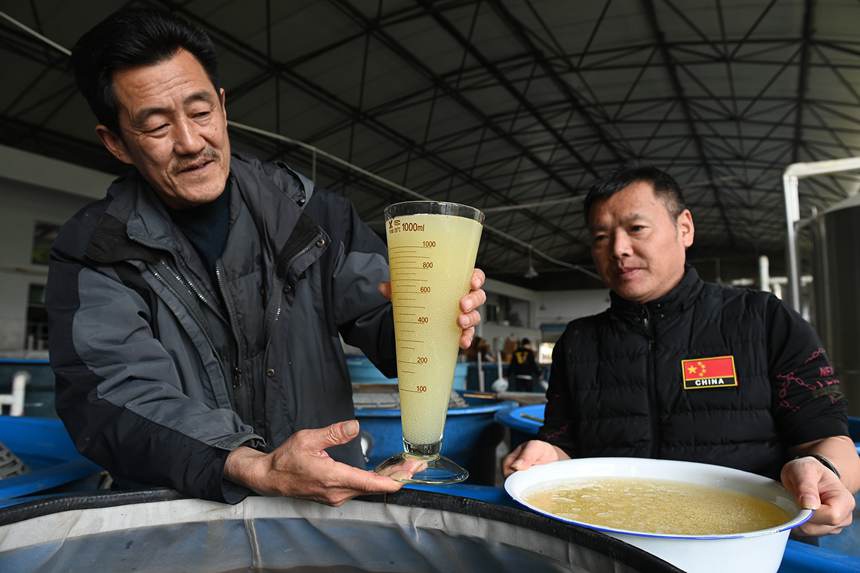 ����֬�~�ѷ�������ء�Ƚ��܊�z