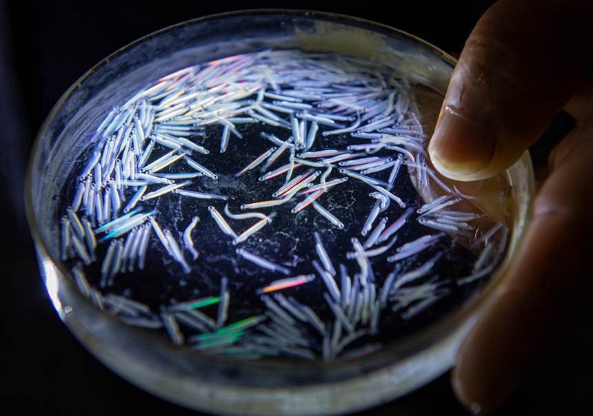 ��֬�~��׃�~������һ�ܵĕr(sh��)�g��Ƚ��܊�z