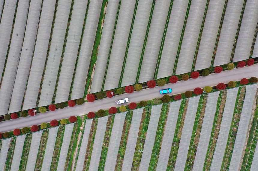 ܇�v������ؑc��ǭ���^(q��)�����(zh��n)�dȪ��Įa(ch��n)�I(y��)·���������z