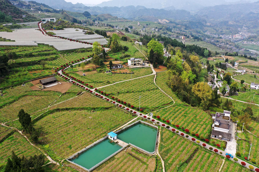 ܇(ch��)�v������ؑc��ǭ���^(q��)�����(zh��n)�dȪ��Įa(ch��n)�I(y��)·�ϡ������z