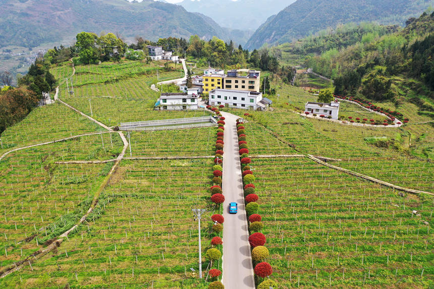 ܇�v������ؑc��ǭ���^(q��)�����(zh��n)�dȪ��Įa(ch��n)�I(y��)·�ϡ������z