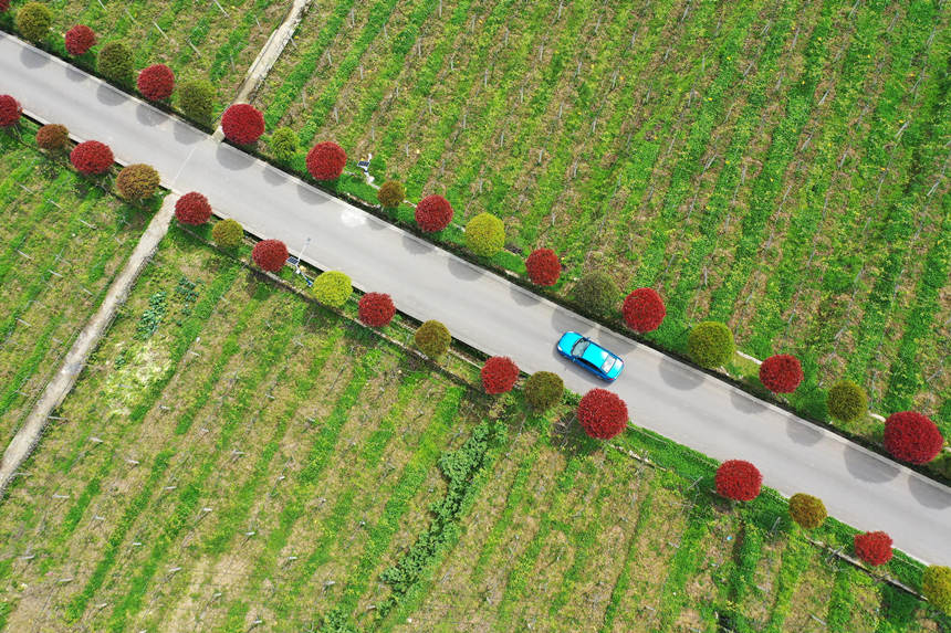 ܇�v������ؑc��ǭ���^(q��)�����(zh��n)�dȪ��Įa(ch��n)�I(y��)·���������z