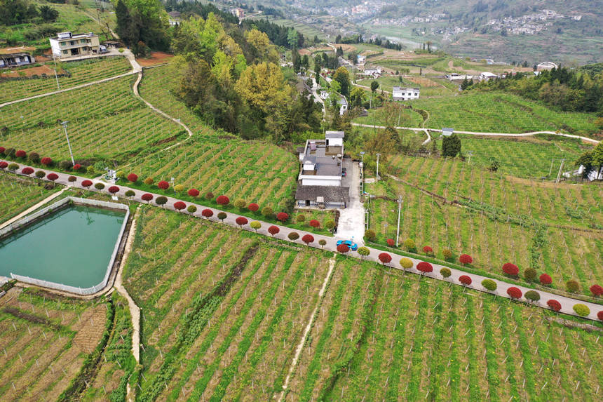 ܇�v������ؑc��ǭ���^(q��)�����(zh��n)�dȪ��Įa(ch��n)�I(y��)·���������z