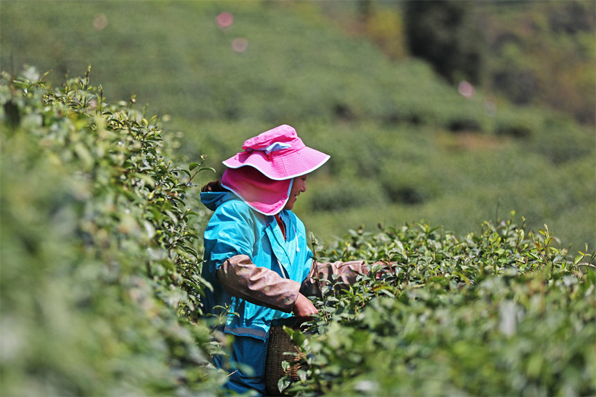 �����ժ������衱���w�z